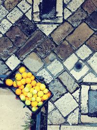 High angle view of yellow berries on footpath