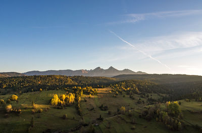 Scenic view of agricultural field against sky