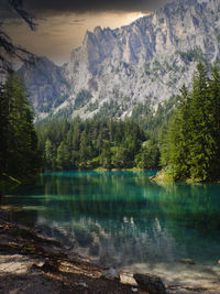 Scenic view of lake by trees in forest