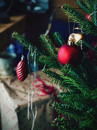Close-up of christmas decorations hanging on tree