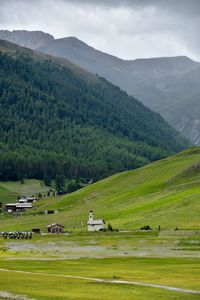 Scenic view of green landscape against sky