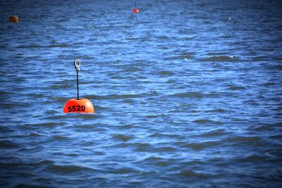 View of red floating on sea