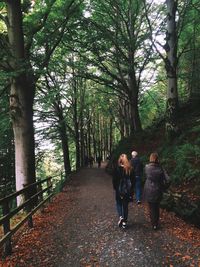 Rear view of people walking on footpath in forest