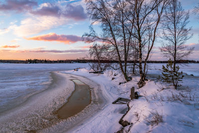 Bare trees on snow covered land during sunset
