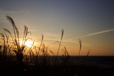 Scenic view of calm sea at sunset