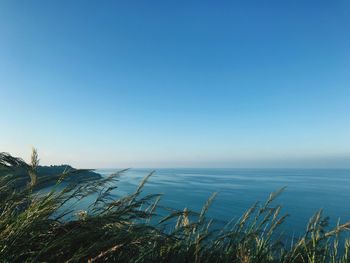 Scenic view of sea against clear blue sky