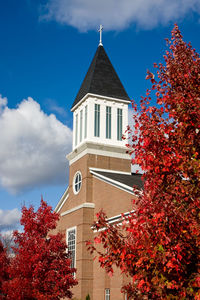 Low angle view of trees and building against sky