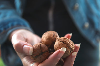 Female hands holding walnuts. woman has nuts on shell. healthy diet. autumn harvest. vintage tint. 