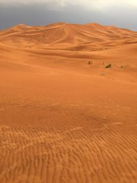 View of a desert