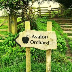 Close-up of signboard on tree