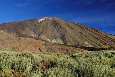 Landscape against rocky mountains and blue sky