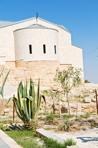 Plants growing outside building