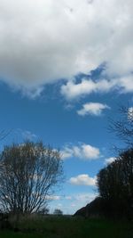 Trees on field against cloudy sky