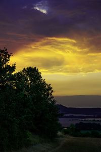 Silhouette trees on landscape against sky at sunset