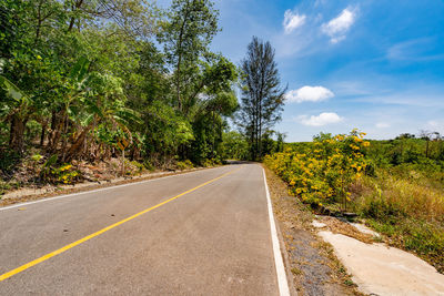 Empty road by trees against sky