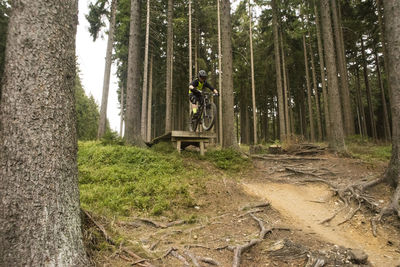 Man riding bicycle in forest