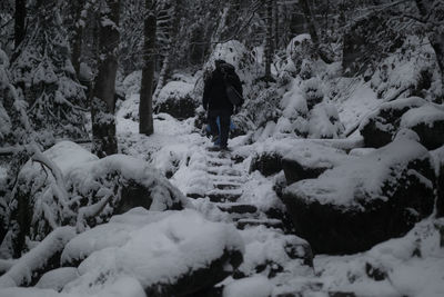 Woman walking on snow covered trees