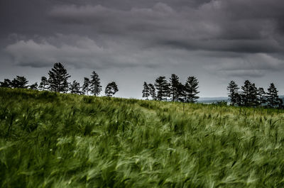 Scenic view of grassy field against cloudy sky