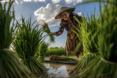 Farmer and rice field,thailand