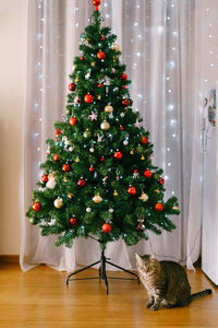 View of christmas tree on floor