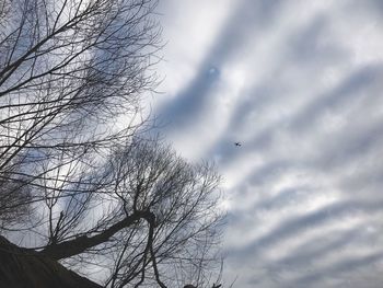 Low angle view of bare tree against sky