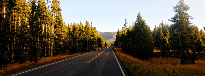 Road amidst trees against sky