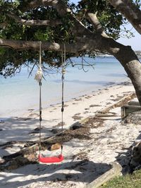 Scenic view of beach