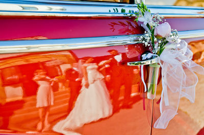 Close-up of red roses
