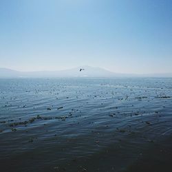 Scenic view of sea against blue sky