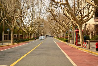 Cars on road along bare trees and buildings