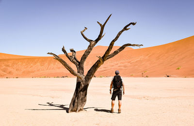 Rear view of man walking at desert against clear sky