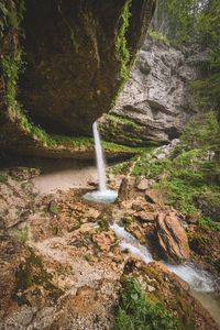 Scenic view of waterfall in forest