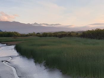 Scenic view of lake against sky during sunset
