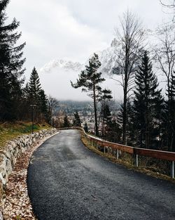 Road amidst trees against sky