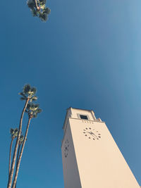 Low angle view of flowering plant against clear blue sky