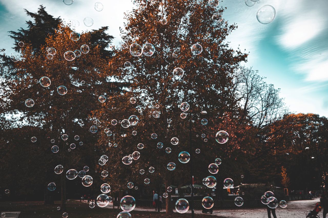 VIEW OF BUBBLES AGAINST SKY