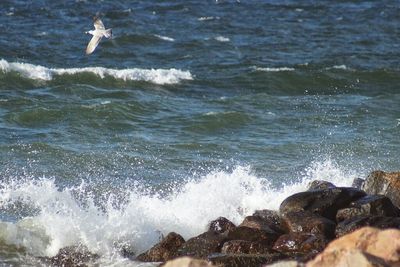 Waves splashing on rocks