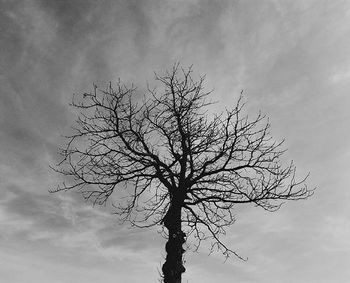 Low angle view of bare trees against cloudy sky