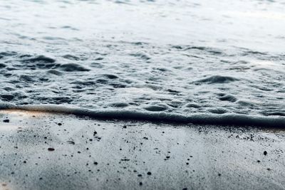 Close-up of shore at beach