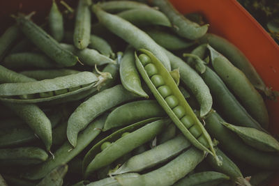 Open pod of green pea in container