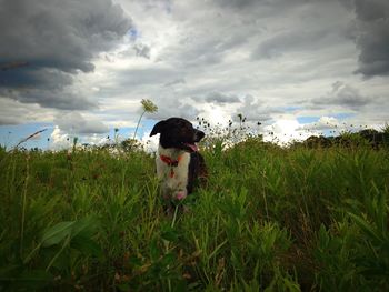 Man standing on grassy field against cloudy sky