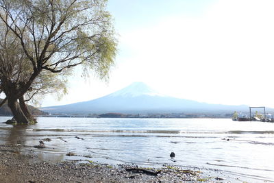 Scenic view of lake by snowcapped mountains against sky