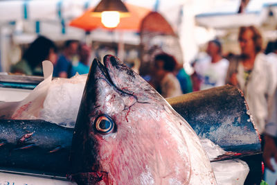 Close-up of fish for sale at market stall