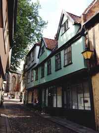 Houses by street in town