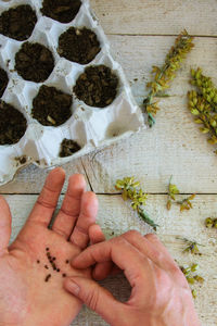 High angle view of person hands holding seeds by flowers