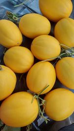 Close-up of tomatoes