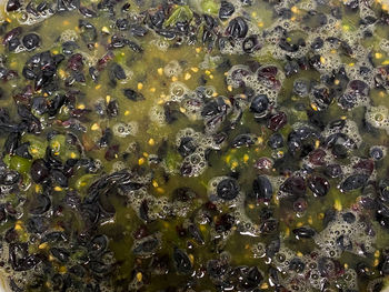 Full frame shot of water drops on rock