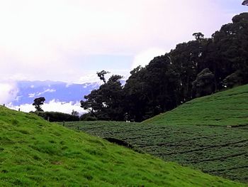 Scenic view of land against sky