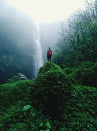 Rear view of man standing by waterfall in forest