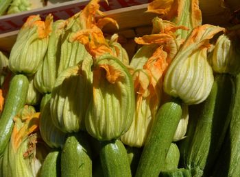 Close-up of vegetables